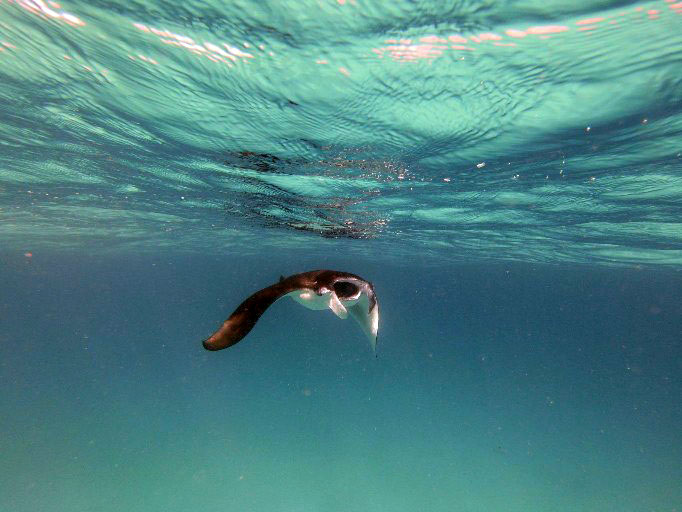 2023 - 07 - Sandies Bathala - 246